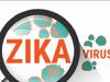 Zika virus